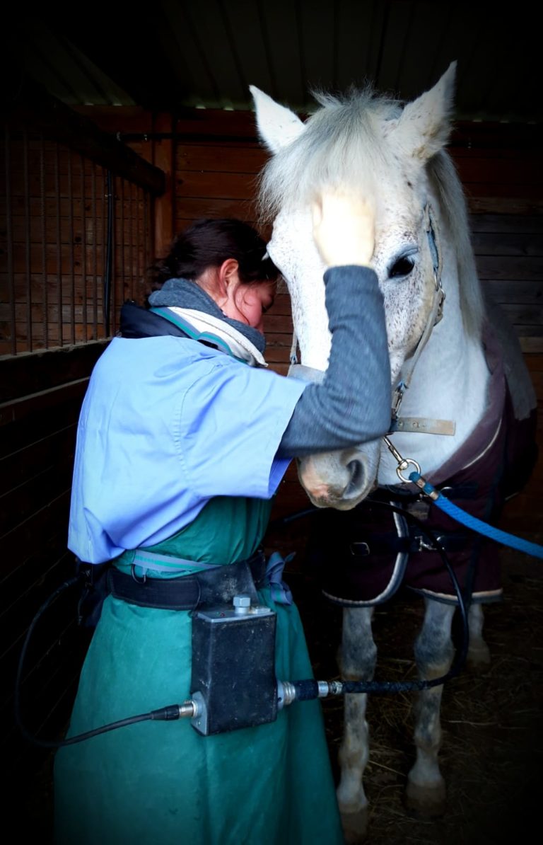 Photo kiliane-dentisterie -equine.com