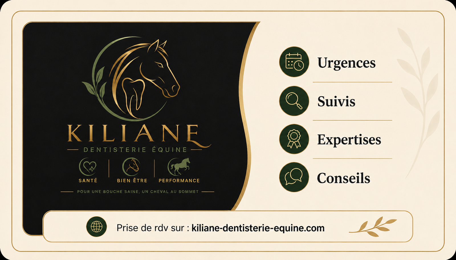 Kiliane Technicien Dentaire Equin